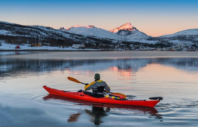 24hr Northern Lights & Whale Watching Cruise - A full Arctic night, not just a short boat ride
