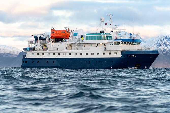 24hr Northern Lights & Whale Watching Cruise - Checking in at Tromsø Havn Prostneset