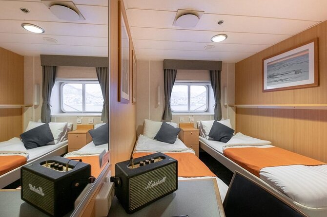24hr Northern Lights & Whale Watching Cruise - Whale watching around Skjervøya