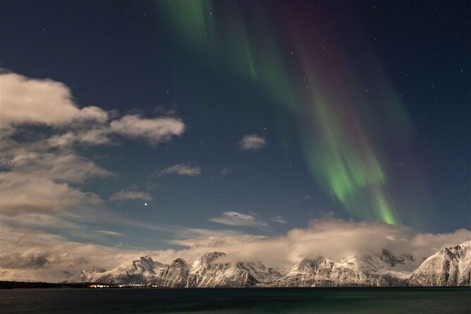 24hr Northern Lights & Whale Watching Cruise - Chasing the Northern Lights after dinner