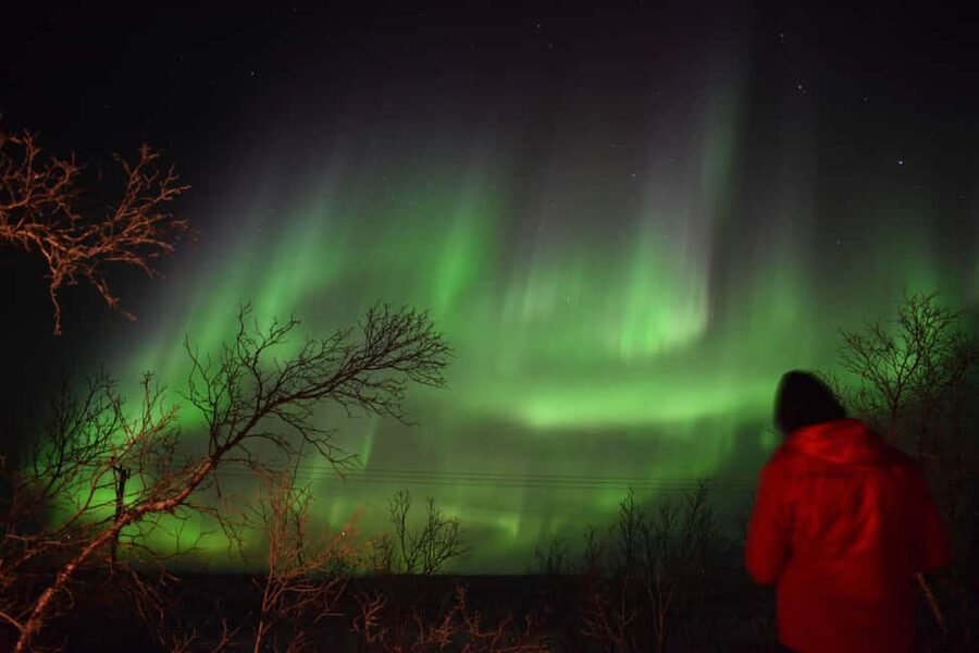 Abisko Arctic Ecology and Northern Lights Tour - Key points at a glance