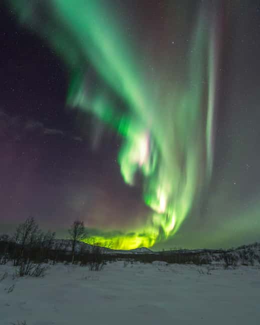 Abisko: Aurora Car Chasing Tour with Photographer - Jeff’s style: astronomy, wildlife, and a good playlist