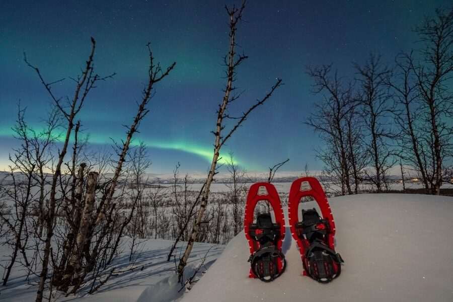 Abisko: Aurora Snowshoeing - Key points to know