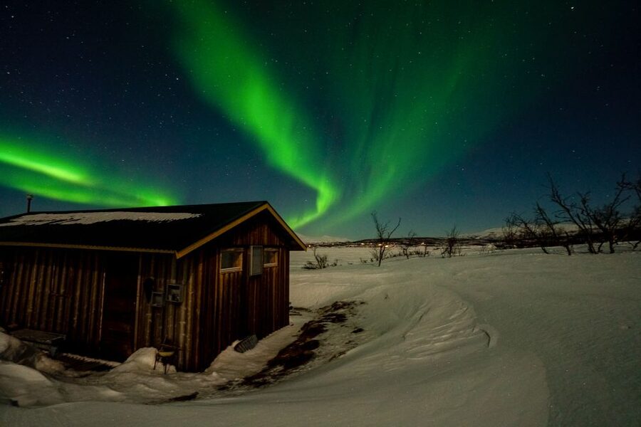 Abisko: Aurora Snowshoeing - A true Arctic night, not just an aurora stop