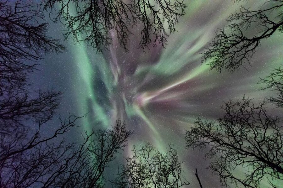 Abisko: Guided Autumn Aurora Chase with Hotel Transfers - The drive through Abisko National Park