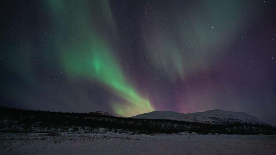 Abisko: Northern Lights Hike with Husky Puppies - Husky puppies are the heart of the evening