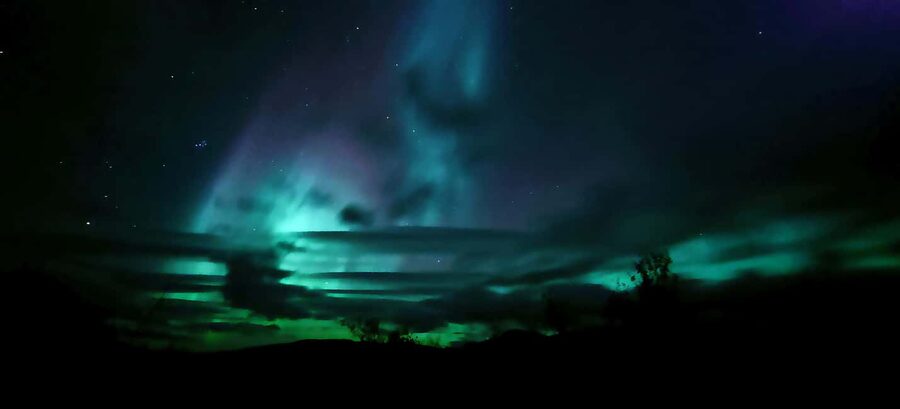 Abisko: Northern Lights Hike with Husky Puppies - Should you book the husky puppy hike?