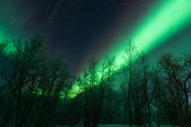 Abisko Northern Lights Tour with Photographer - Chasing the aurora from Abisko at 7:00 pm