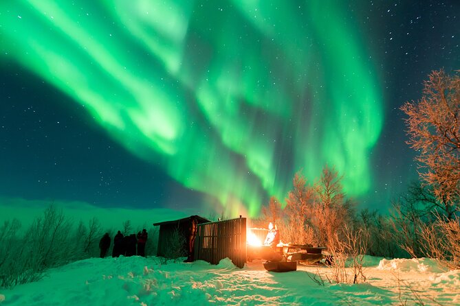 Abisko Northern Lights Tour with Photographer - Is $59 good value?
