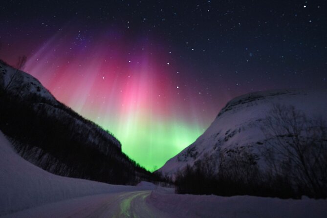 Adults Only Aurora Hunt with Wandering Owl - Kilpisjärvi: crossing into Finland when needed