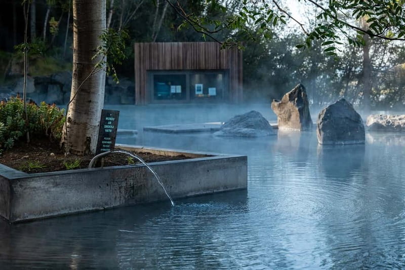 Akureyri: Northern Lights Hunt with Forest Lagoon Entry - Two hours at Forest Lagoon