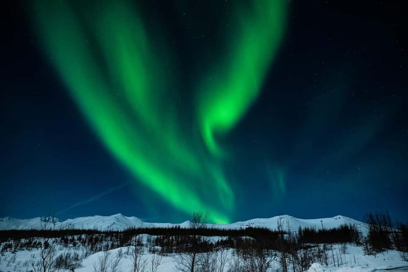 Akureyri: Northern Lights Hunt with Forest Lagoon Entry - Who will get the most from this evening?