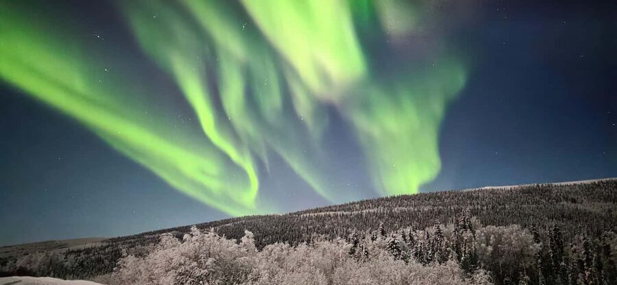 Alaska: Private Northern Lights Viewing Tour - Key points to know before booking