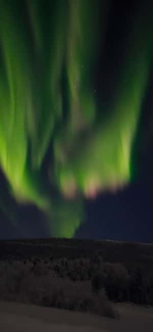 Alaska: Private Northern Lights Viewing Tour - A 9 p.m. start built around the aurora