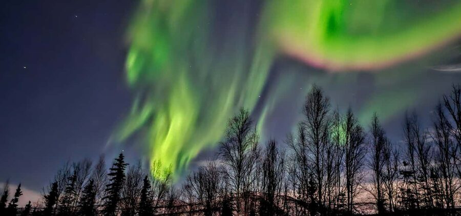 Alaska: Private Northern Lights Viewing Tour - Portraits without a separate photography bill