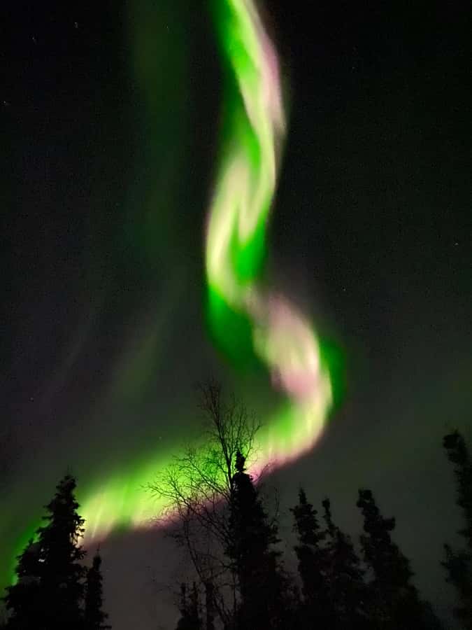 Alaskan Northern Lights/Aurora Borealis Lodges - What the guide adds to the evening