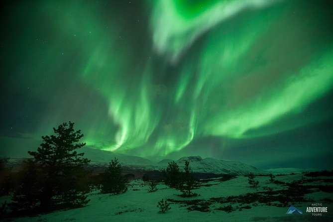 All inclusive - Northern Lights Hunt - Waiting beside a fire for the sky to change
