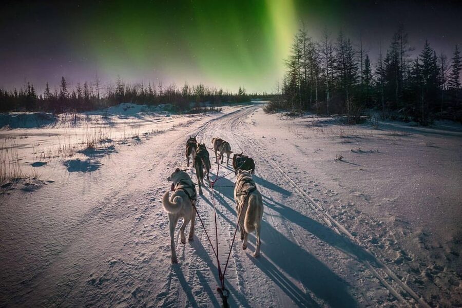 Alta: Dog Sledding Trip under the Northern Lights - Gearing up for a dark Arctic ride