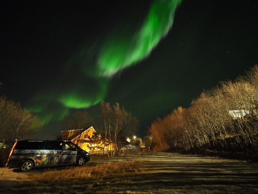 Alta: Small-Group Guided Northern Lights Tour - A four-hour aurora hunt, not a fixed bus ride