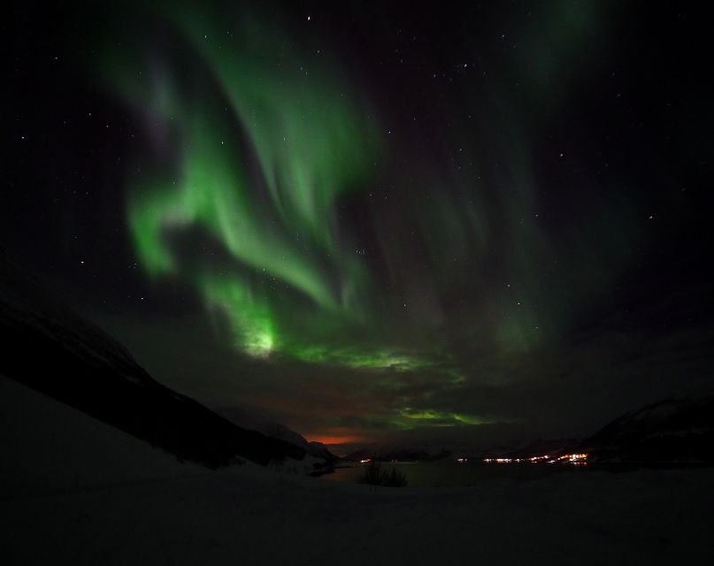 Alta: Small-Group Guided Northern Lights Tour - Taking photos of the Northern Lights