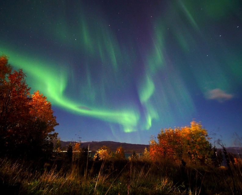 Alta: Small-Group Guided Northern Lights Tour - Price, value, and what the $251 buys
