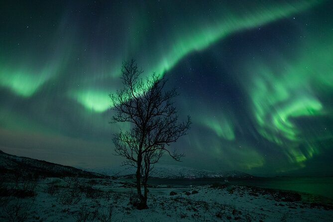 An All-Inclusive Tour - Aurora & Arctic Experience - Aurora portraits and camera help