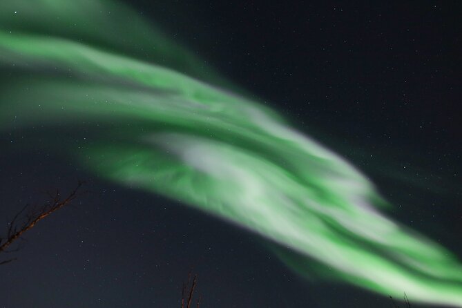An All-Inclusive Tour - Aurora & Arctic Experience - Who will enjoy this Tromsø evening most?