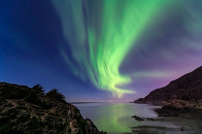 Anchorage Aurora Tour and Northern Lights Photo - The cold, the waiting, and the practical reality