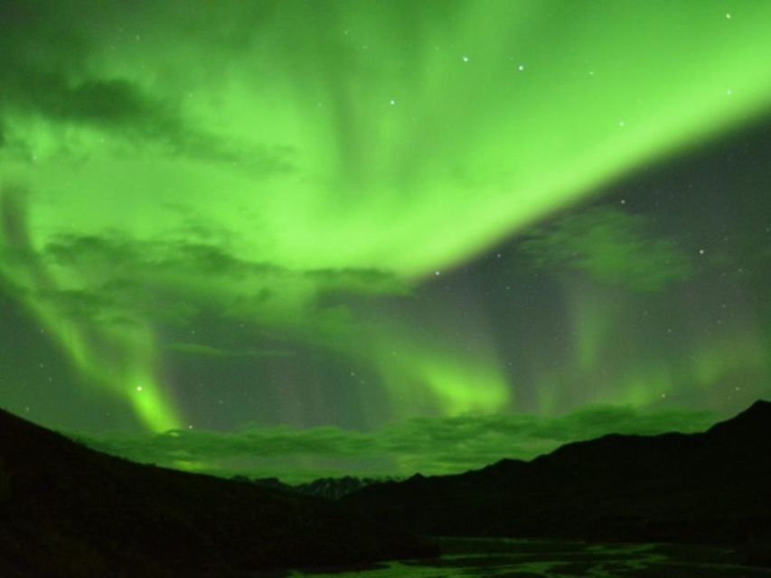 Anchorage: Nighttime Northern Lights Tour - Key points to know before booking