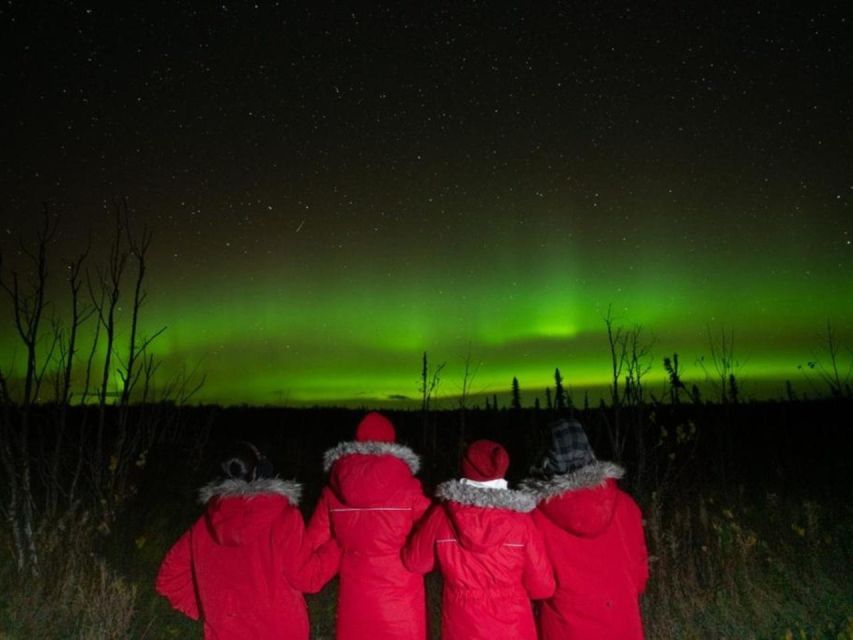 Anchorage: Nighttime Northern Lights Tour - Why the eight-hour chase makes sense