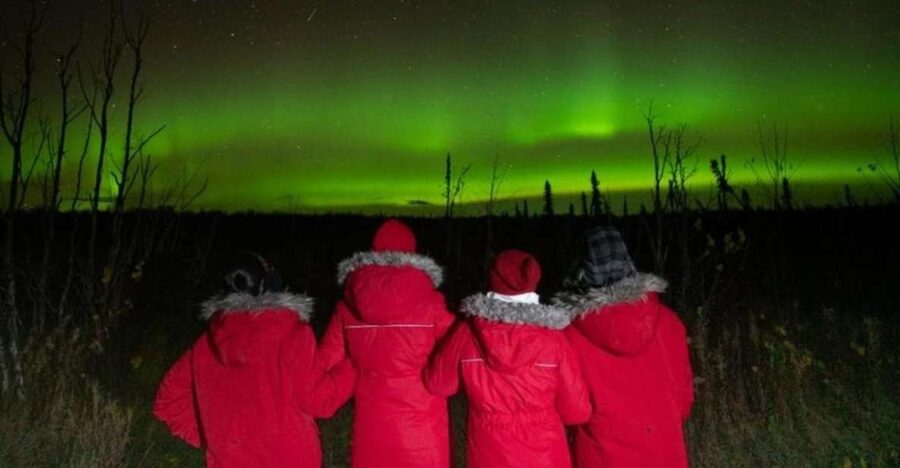 Anchorage: Nighttime Northern Lights Tour - Reading the forecast with your guide