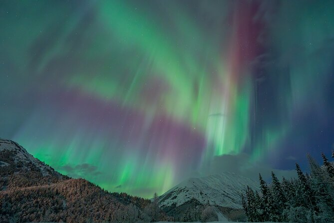 Anchorage Northern Lights Tour - The dark-road journey from Anchorage