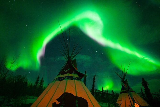Arctic Day: Aurora Viewing Tour | late night - Guide service can make or break the night