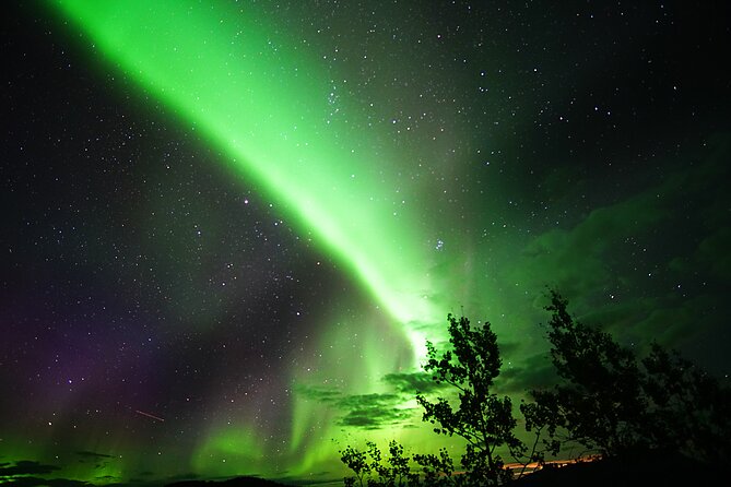 Arctic Day: Aurora Viewing Tour | late night - Cold-weather comfort and what to wear