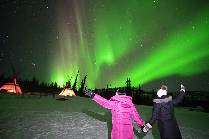 Arctic Day: Aurora Viewing Tour | late night - The real value at $125.39