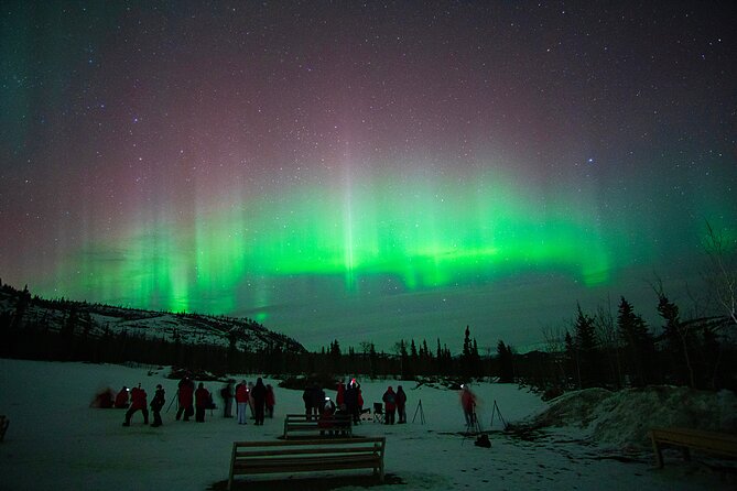 Arctic Day: Aurora Viewing Tour | late night - Weather, cancellations, and the no-guarantee rule