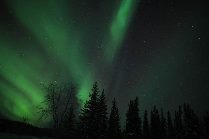 Aurora Chasing + Aurora Lodge - Guides, timing, and the free photos
