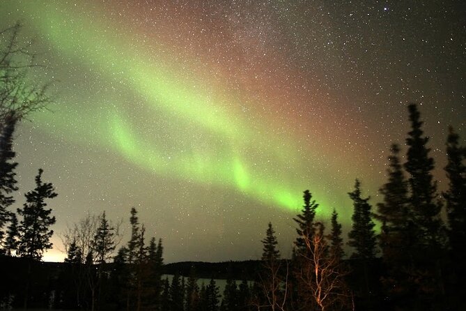 Aurora Chasing + Aurora Lodge - What the mixed feedback means for you