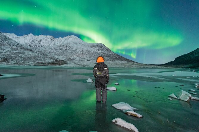Aurora Hunt with the campfire and professional photographer - From Tromsø to the first dark sky