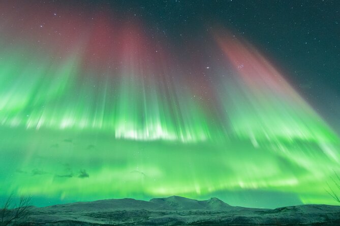 Aurora Hunt with the campfire and professional photographer - Staying warm in the Arctic night
