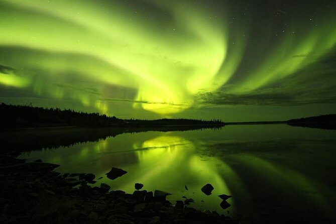 Aurora Hunting Tours - Joe, Brendan, and the local point of view