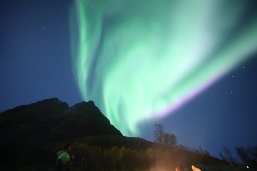 Aurora Optimum: Best 3-Night Forecast - A four-hour evening in the cold
