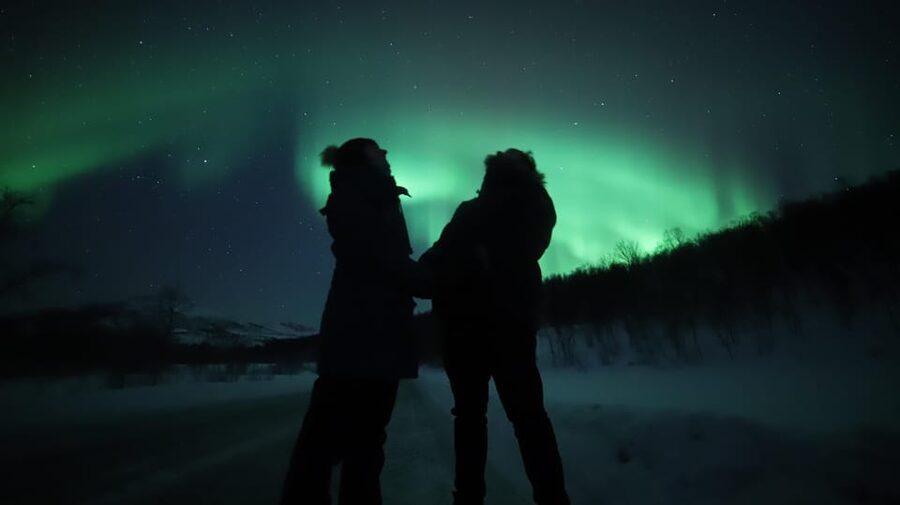 Aurora Optimum: Best 3-Night Forecast - Is $209 a fair price?