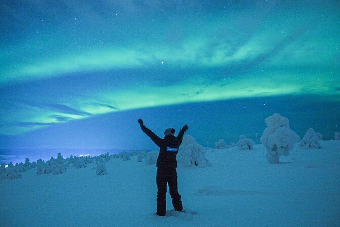 Aurora Photography Tour 3 HOURS - Hot berry juice matters at minus 26 Celsius