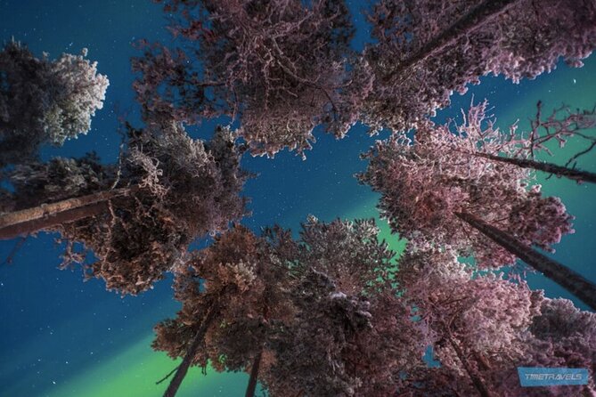 Aurora Photography Tour 3 HOURS - When the lights do not appear