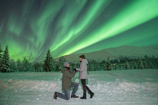 Aurora Safari Chase by big bus, free Photos, toilet onboard - Food choices and the value of the upgrade
