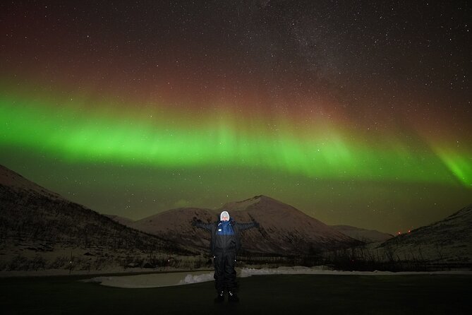 Aurora tour with free portrait and bonfire - Chasing clear skies across 300 kilometers