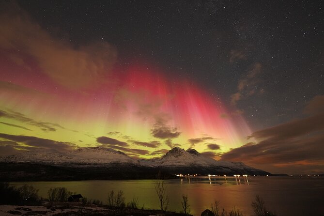 Aurora tour with free portrait and bonfire - The bonfire, cinnamon cake, and Arctic comfort