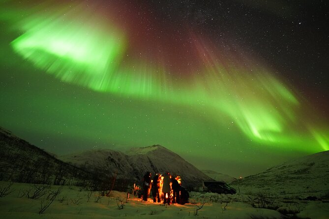 Aurora tour with free portrait and bonfire - Who will enjoy this Tromsø aurora tour?