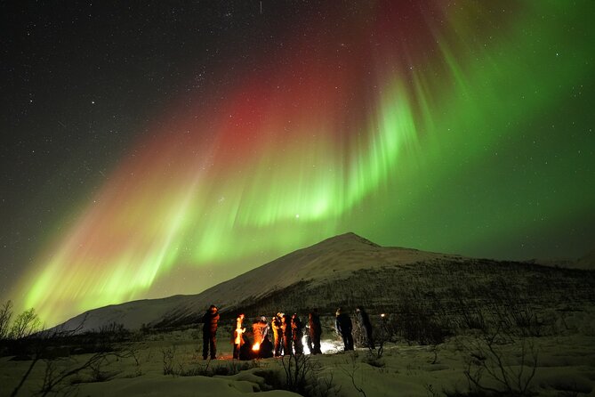 Aurora tour with free portrait and bonfire - Mansoor, Aram, Adam, and the human side of the chase